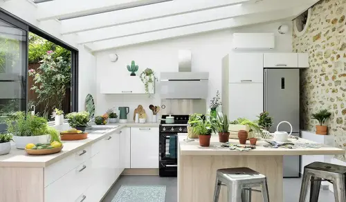 plante dans la cuisine