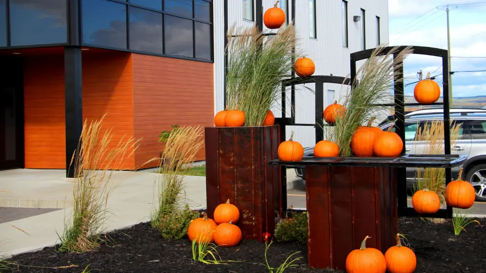 décors automne