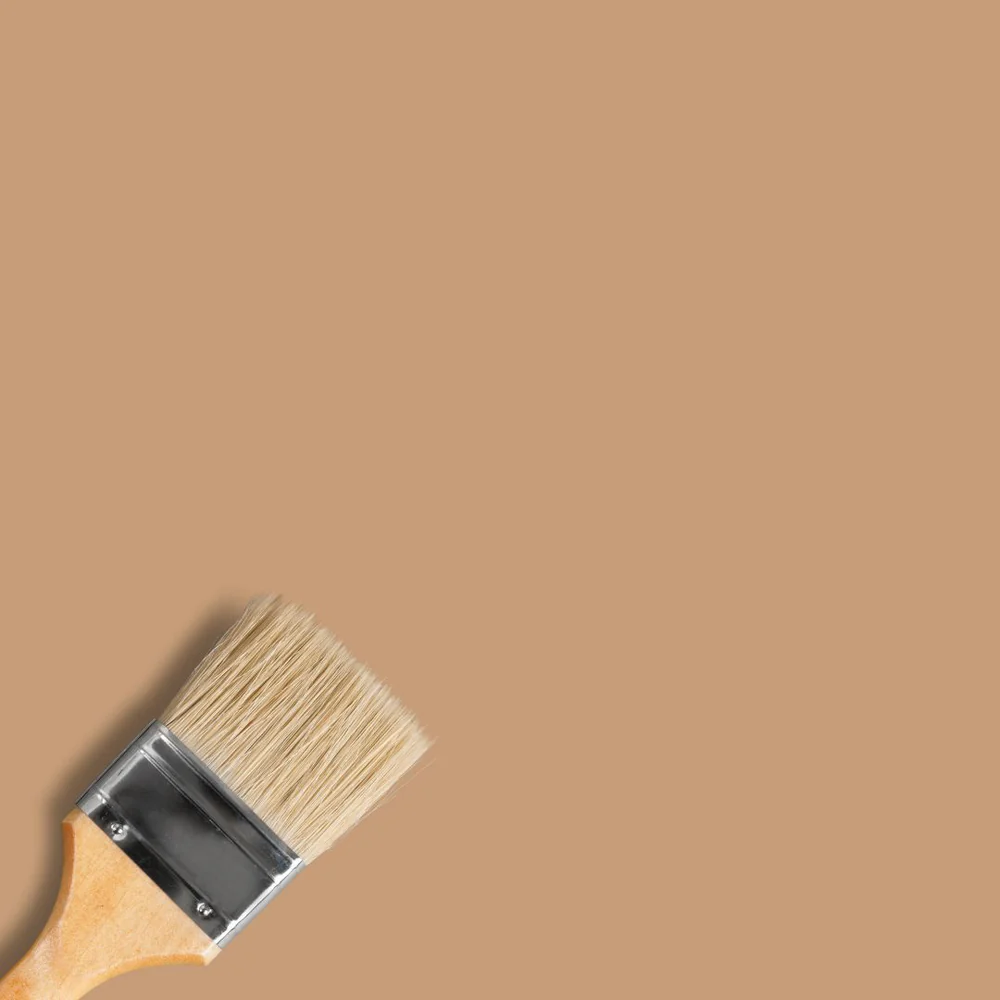 couleur beige marron