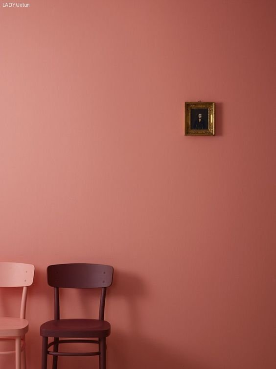 Le Terracotta Rose