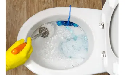 nettoyage cuvette wc