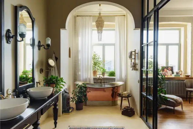 plantes pour salle de bain