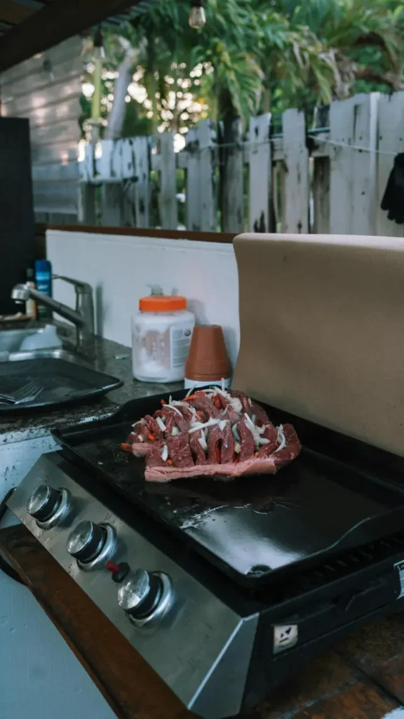 plancha pour barbecue électrique