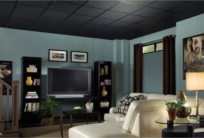 Le Plafond Noir