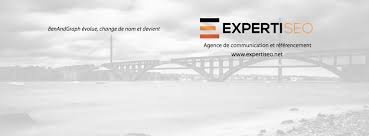 expertiseo.fr