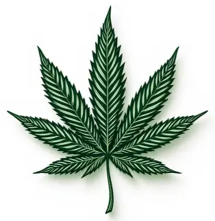 papatilleul.fr zen
