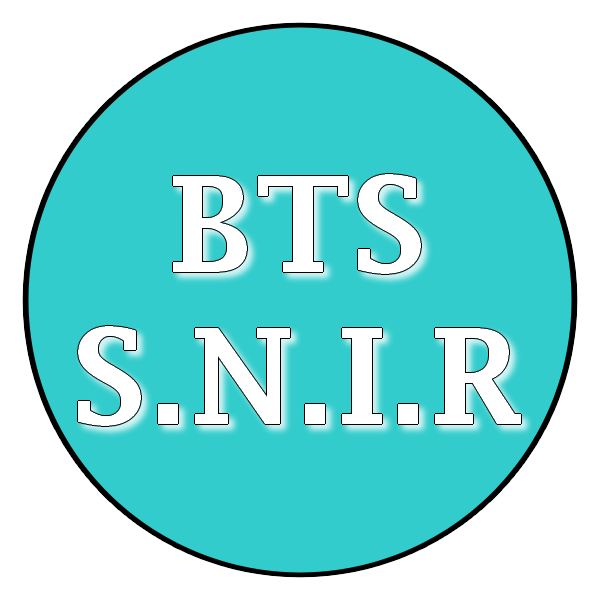 snir -ppr.fr/cours