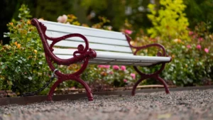 allée jardin gravier blanc bordure bois