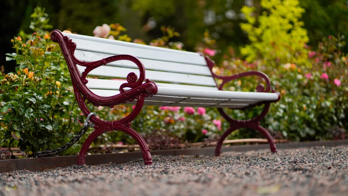 allée jardin gravier blanc bordure bois
