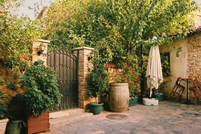 Cour extérieure aménagée avec terrasse et plantes