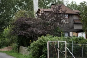 clôture jardin bois naturel maison