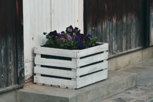 jardinière bois DIY extérieur fleurs colorées