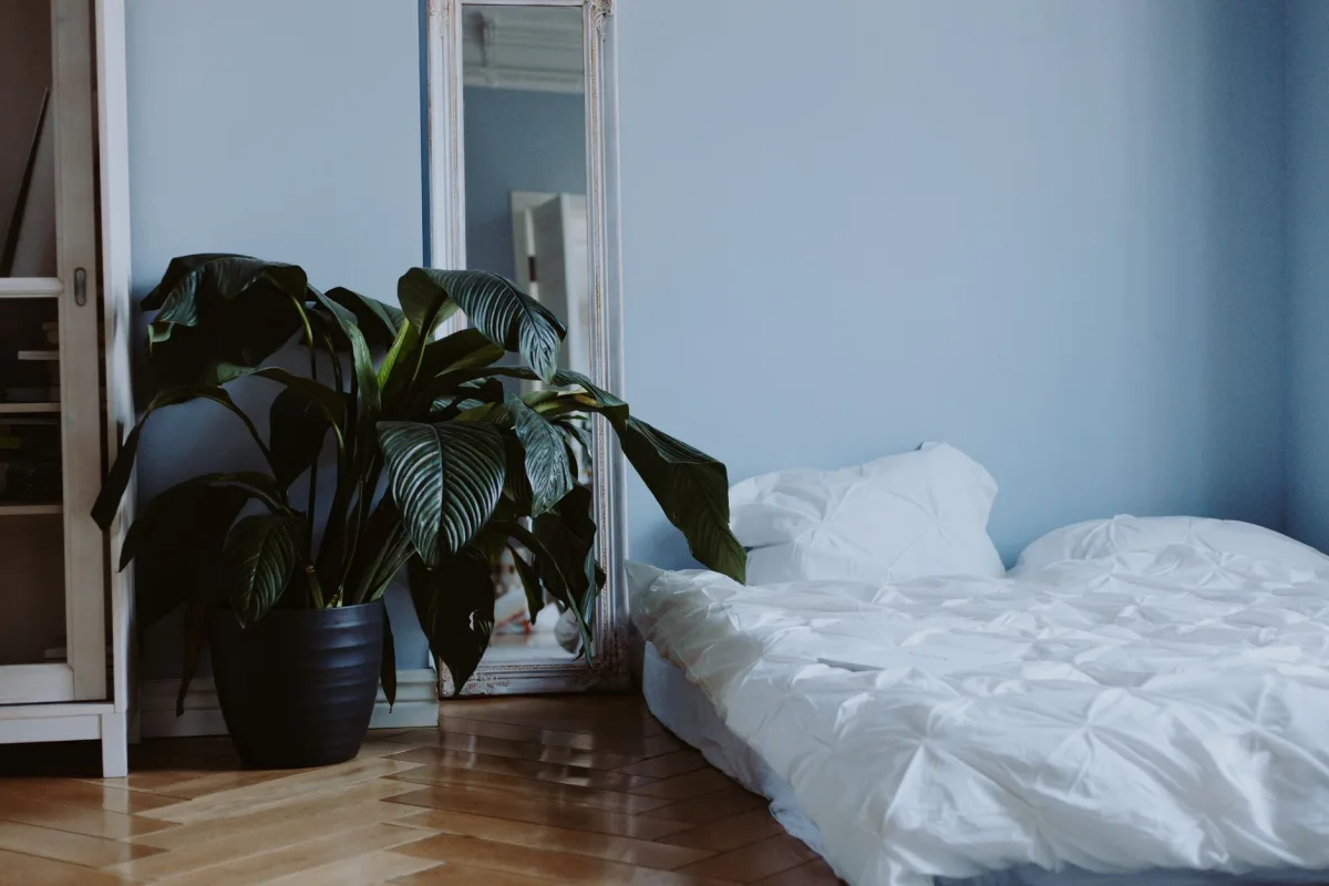 miroir en pied chambre lumière naturelle cadre bois