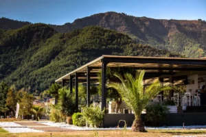 pergola bioclimatique aluminium terrasse