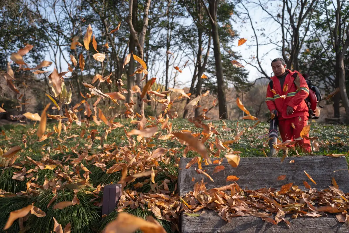 Préparation du jardin pour l'automne avec liste de tâches