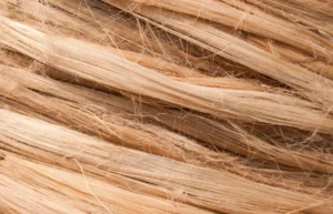 Tapis en sisal naturel sur parquet — comparatif sisal vs jonc de mer