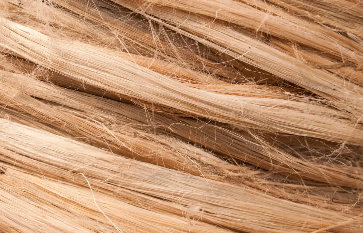 Tapis en sisal naturel sur parquet — comparatif sisal vs jonc de mer