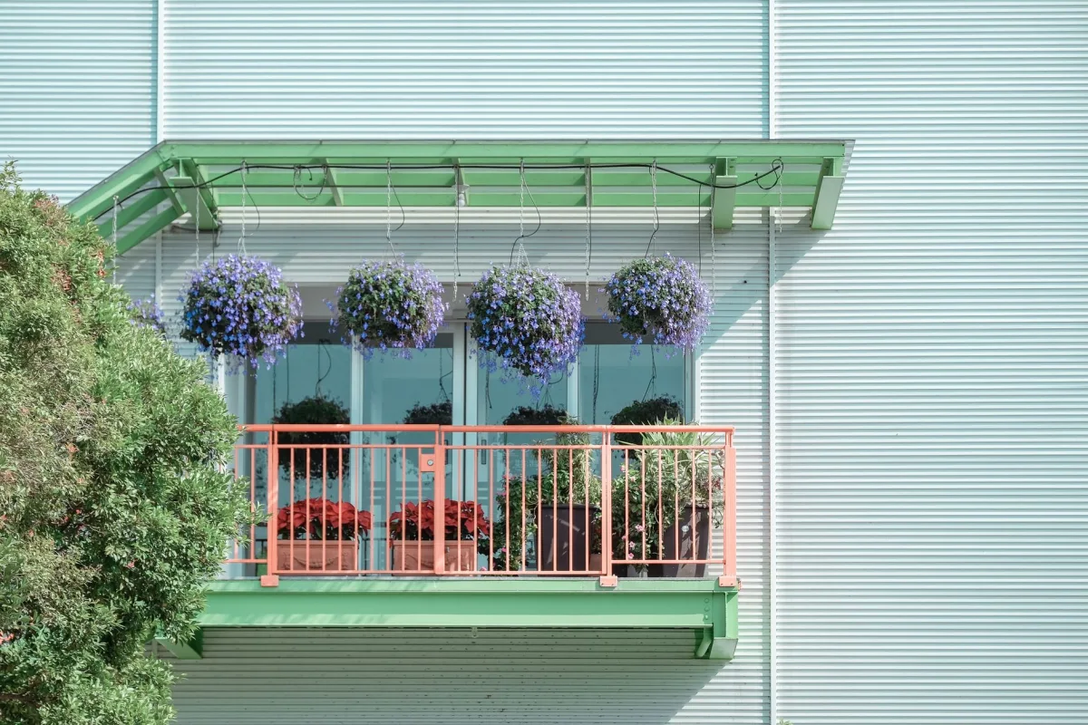 Verveine retombante en pot suspendu sur un balcon