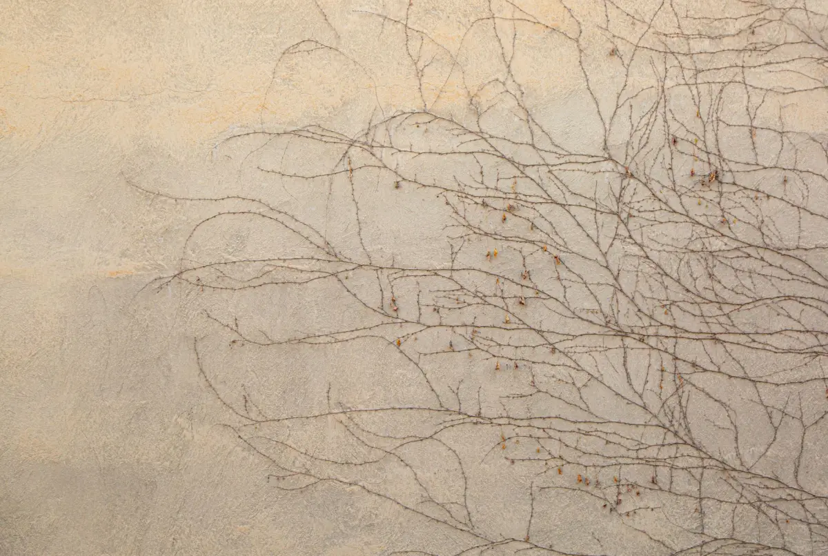 intérieur wabi-sabi naturel lin texture neutre