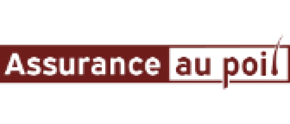 assuranceaupoil.fr chien