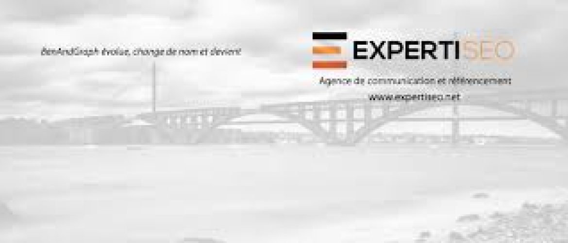 expertiseo.fr